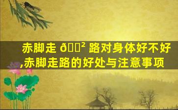 赤脚走 🌲 路对身体好不好,赤脚走路的好处与注意事项